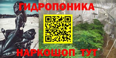 прущие грибы Наро-Фоминск