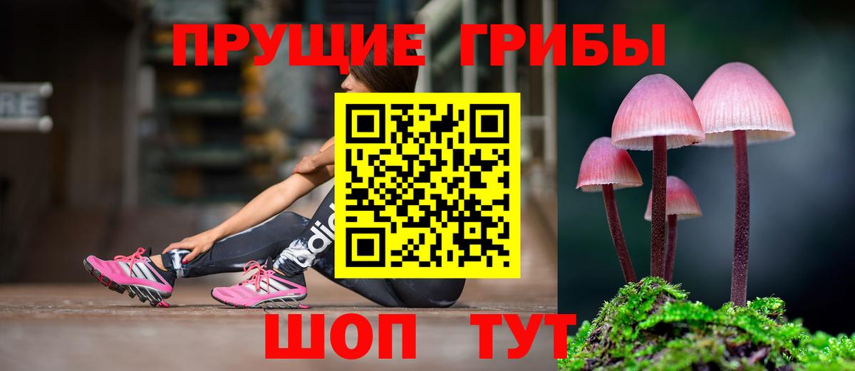 Туймазы  Псилоцибиновые грибы ЛСД  Галлюциногенные грибы ЛСД  Вход с VPN 